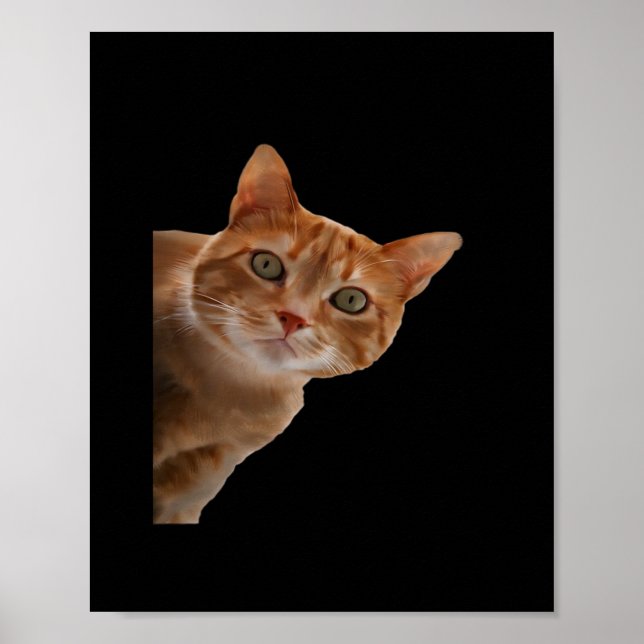 Peekaboo-målarfärg Poster (Framsidan)