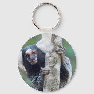 Peekaboo marmoset (Callithrix jacchus) Nyckelring