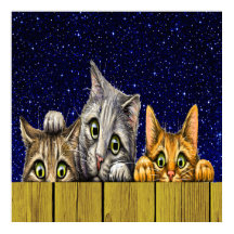 Peeking Cats Poster