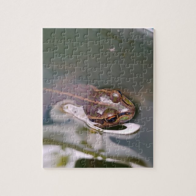 Peeking frog pussel (Vertikal)