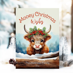 Peeking Highland Cow Mooey Julbonde Julkort