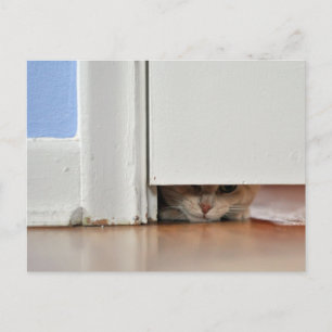 Peeking Kattunge Vykort
