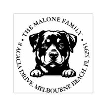 Peeking Rockweiler Puppy Personlig Theme