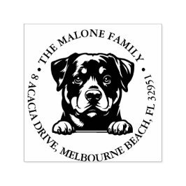 Peeking Rockweiler Puppy Personlig Theme Självfärgande Stämpel