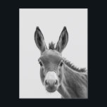 Peeking Sneaky Donkey Cute Vykort<br><div class="desc">Den här designen kan vara personlig i det område som tillhandahålls genom att ändra fotot och/eller text. Du kan också anpassa den genom att klicka på Anpassa den här mallen och sedan välja klicka för att anpassa ytterligare alternativ och ta bort eller ändra färg i bakgrunden, lägga till text, ändra...</div>