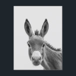 Peeking Sneaky Donkey Cute Vykort<br><div class="desc">Den här designen kan vara personlig i det område som tillhandahålls genom att ändra fotot och/eller text. Du kan också anpassa den genom att klicka på Anpassa den här mallen och sedan välja klicka för att anpassa ytterligare alternativ och ta bort eller ändra färg i bakgrunden, lägga till text, ändra...</div>