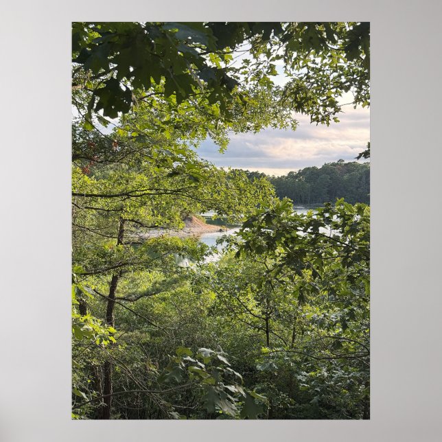 Peeking through the Trees Poster (Framsidan)