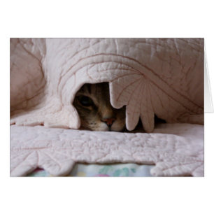 Peeking Tom-kort Hälsningskort
