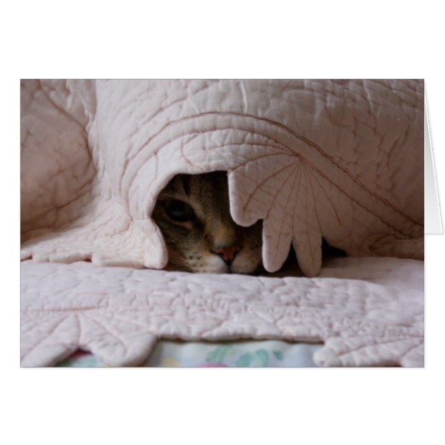 Peeking Tom-kort Hälsningskort (Framsidan Horizontal)
