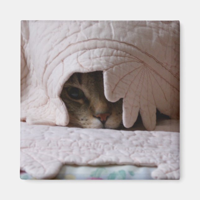 Peeking Tom magnet (Framsidan)