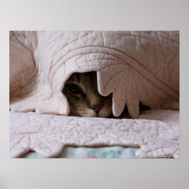 Peeking Tom poster (Framsidan)