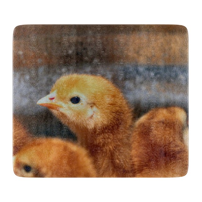 Peep Peep (Framsidan)