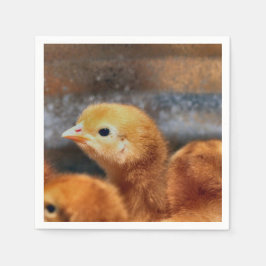 Peep Peep Pappersservett