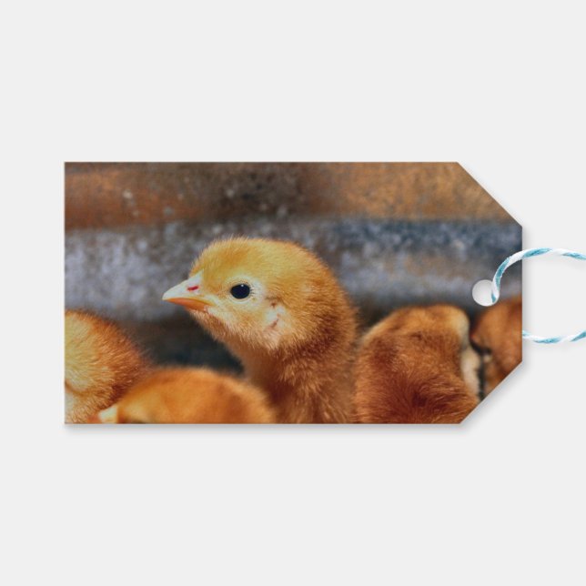 Peep Peep Presentetikett (Framsidan (Horisontell))