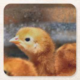 Peep Peep Underlägg Papper Kvadrat