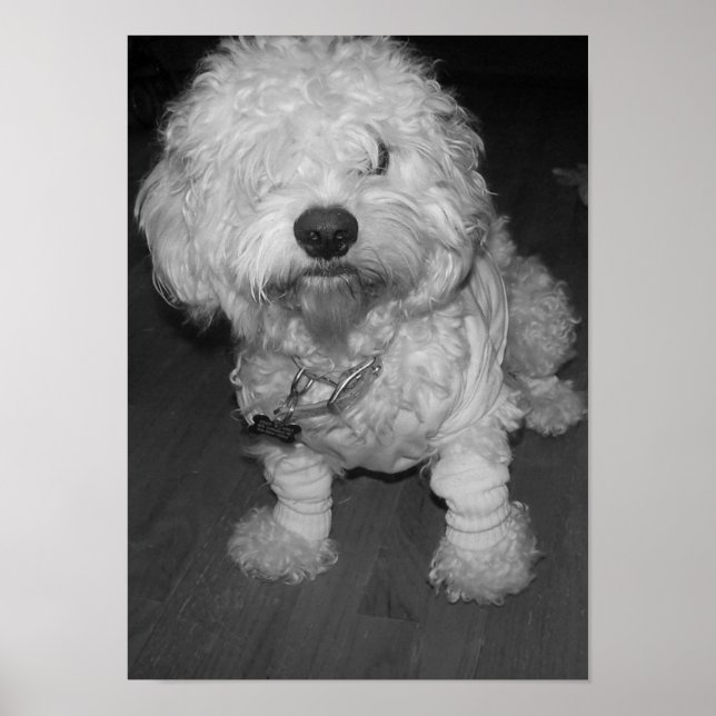 Peep Poster (Framsidan)