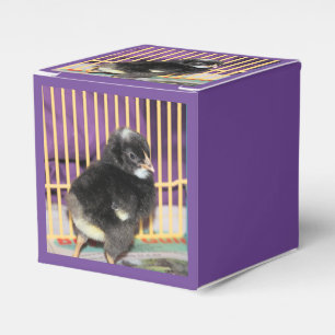 Peep Presentaskar