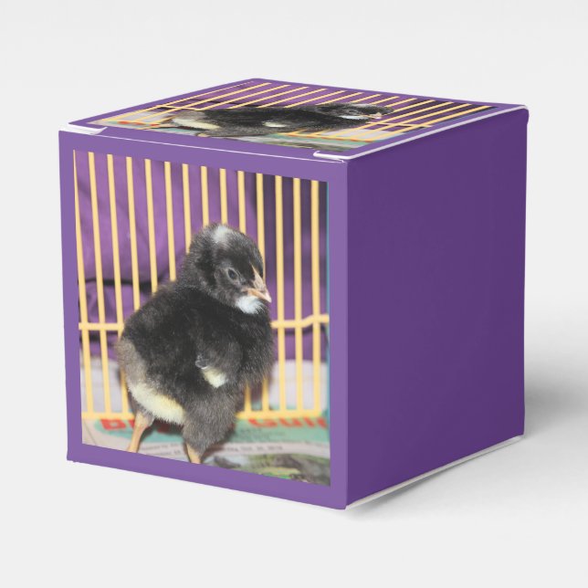 Peep Presentaskar (Framsidan Sidan)