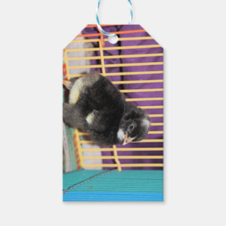 Peep Presentetikett