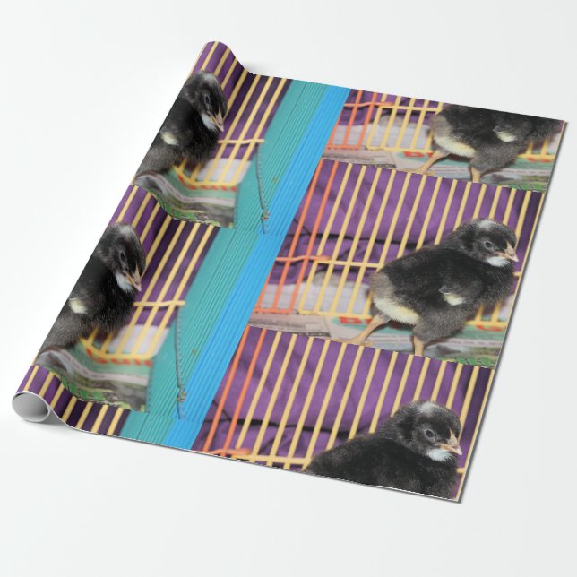 Peep Presentpapper (Utrullad)