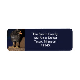 Peep Returadress Etikett