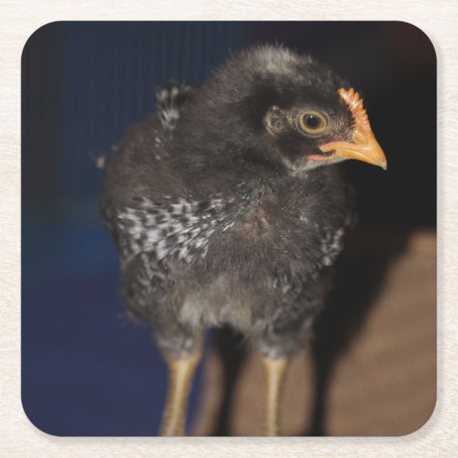 Peep Underlägg Papper Kvadrat (Framsidan)