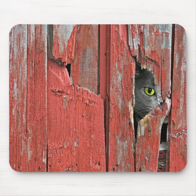 Peeping Tom Cat Musmatta (Framsidan)