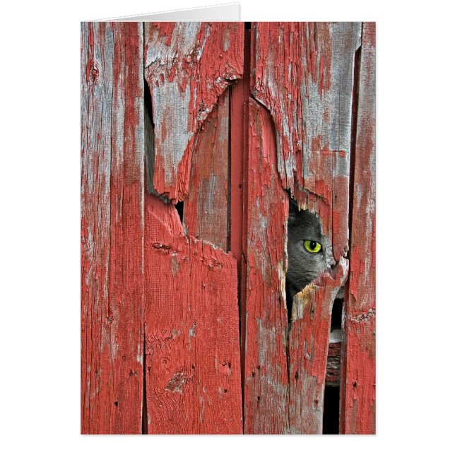 Peeping Tom Hälsningskort (Framsidan)