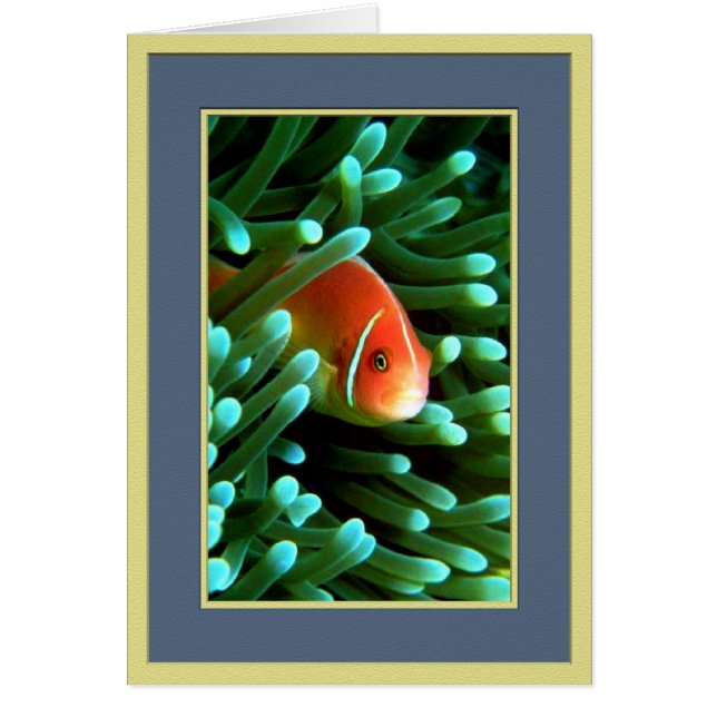 Peeping Tom Hälsningskort (Framsidan)