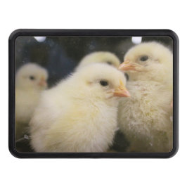 Peeps Dragkroksskydd