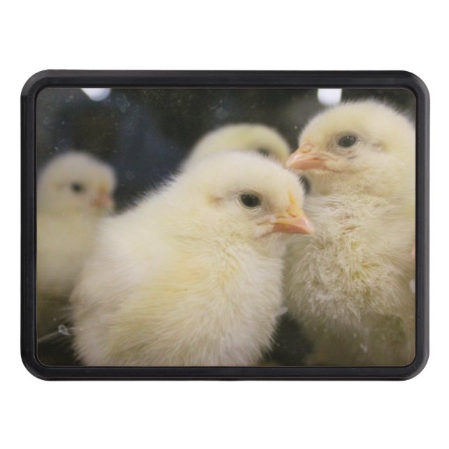 Peeps Dragkroksskydd (Framsidan)