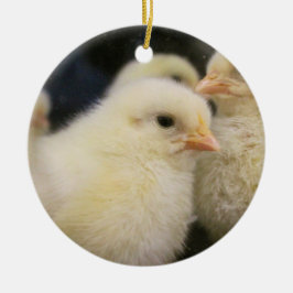 Peeps Julgransprydnad Keramik