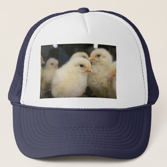 Peeps Keps (Framsida)