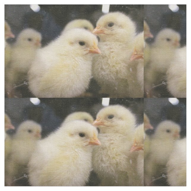 Peeps Tyg (Närbild)