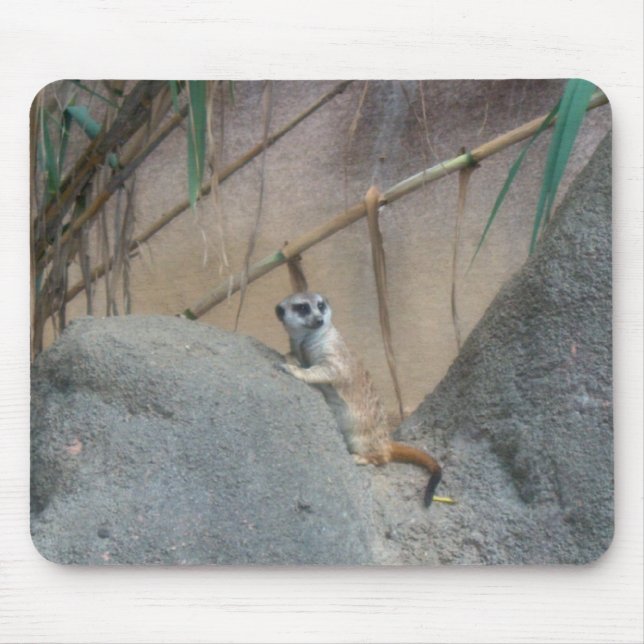 Peerkat Meerkat Musmatta (Framsidan)