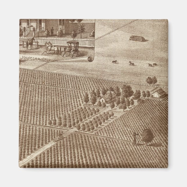 Peerless Vineyard, Hanford, Cal Magnet (Framsidan)