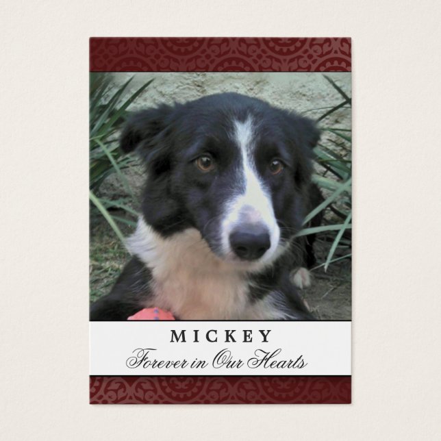 Peet-minneskortets markeringsfoto - Rensa inte Dik Visitkort (Framsidan)