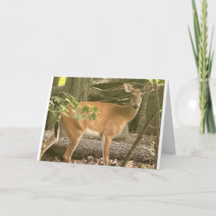 "PEET TO SAY GRATTIS PÅ FÖDELSEDAGEN" KORT