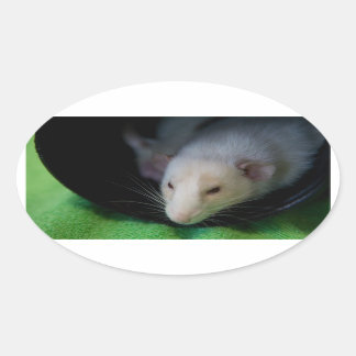 PEEWEE OVAL STICKER OVALT KLISTERMÄRKE