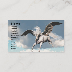 PEGASUS-AFFÄRSKORT VISITKORT