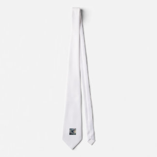 Pegasus Hästhalsduk Slips