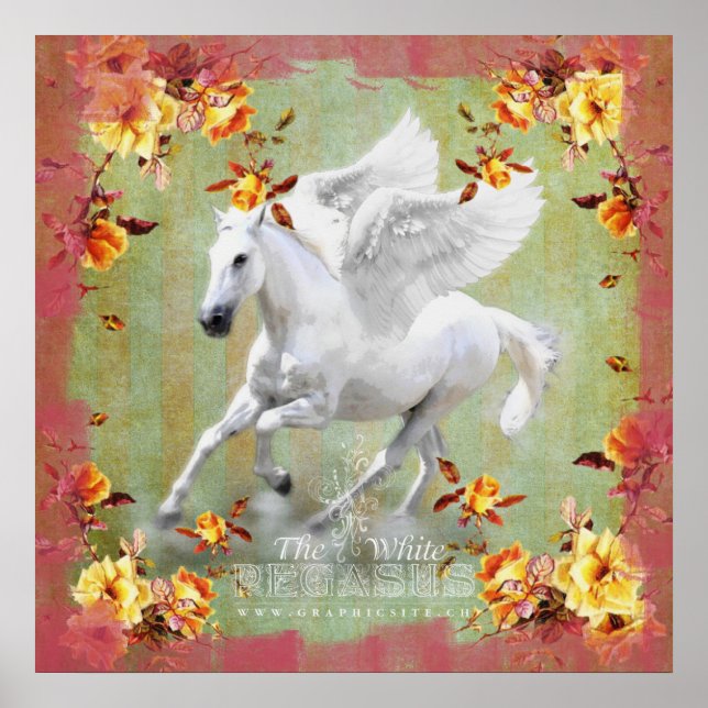 Pegasus II - Poster (Framsidan)