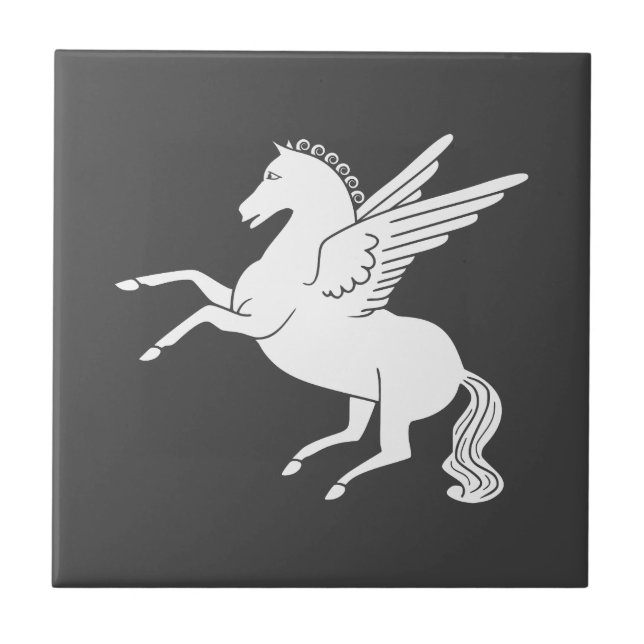 Pegasus Kakelplatta (Framsidan)