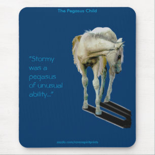 PEGASUS MAGIsamling Musmatta