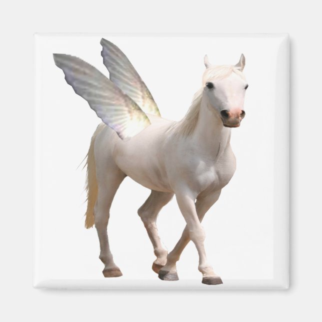 Pegasus Magnet (Framsidan)