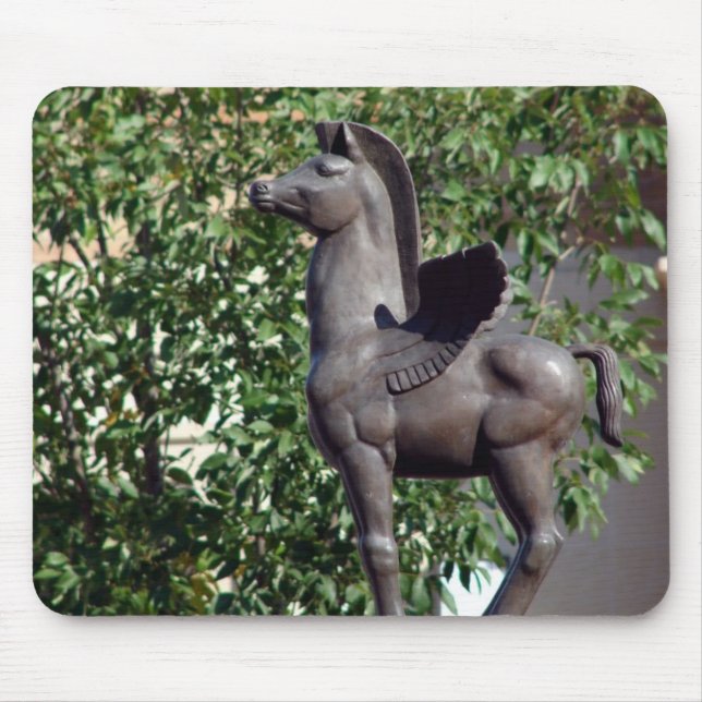 Pegasus på Plaza Musmatta (Framsidan)