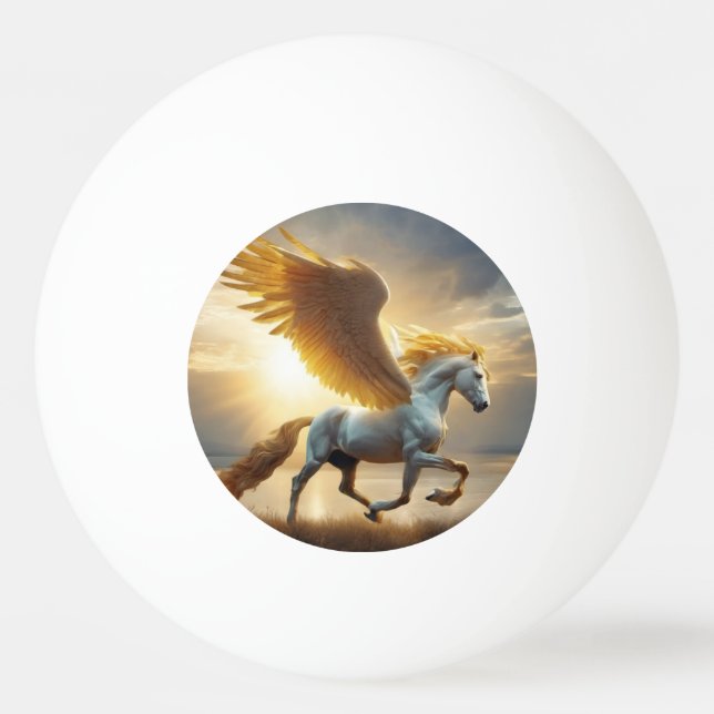 Pegasus Pingisboll (Framsidan)