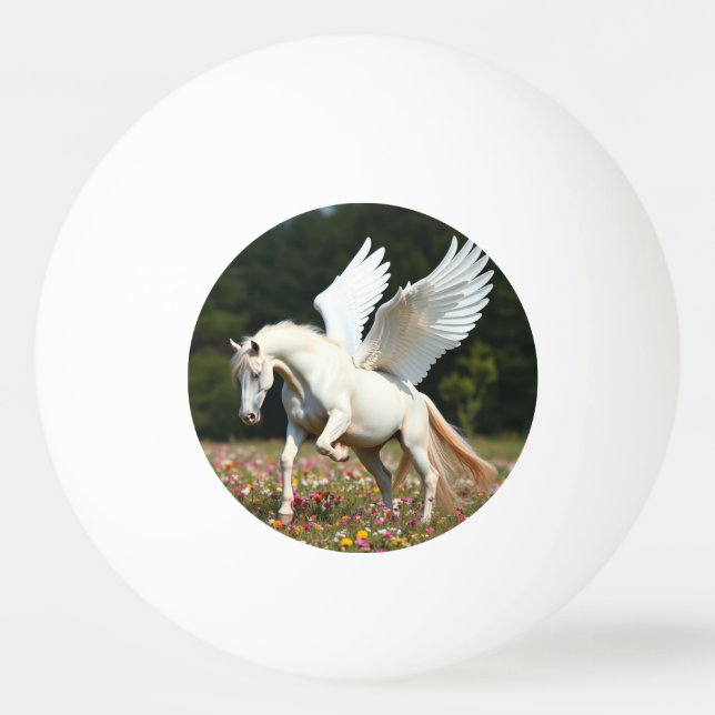 Pegasus Pingisboll (Framsidan)