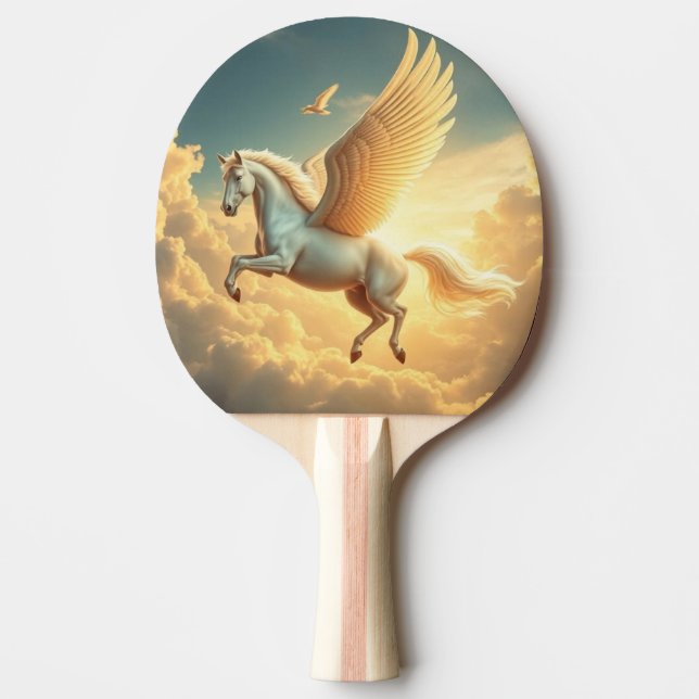 Pegasus Pingisracket (Framsidan)