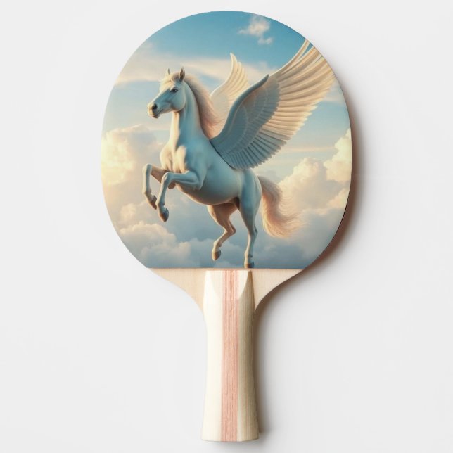 Pegasus Pingisracket (Framsidan)